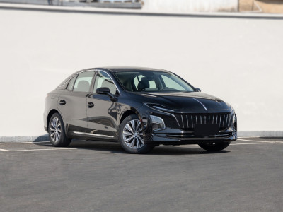 HongQi E-QM5  Фото №3